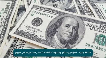 48.23 جنيه.. الدولار يستقر والبنوك الخاصة تتصدر السعر الأعلى للبيع